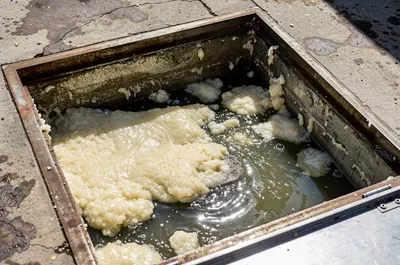 Caixa de gordura aberta com gordura solidificada e água gordurosa