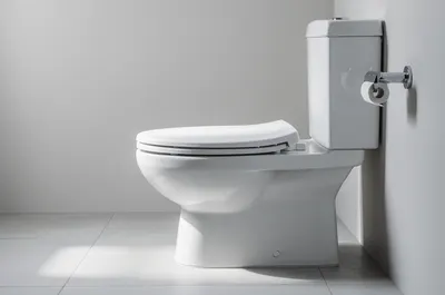 Vaso sanitário branco visto de lado em um banheiro claro